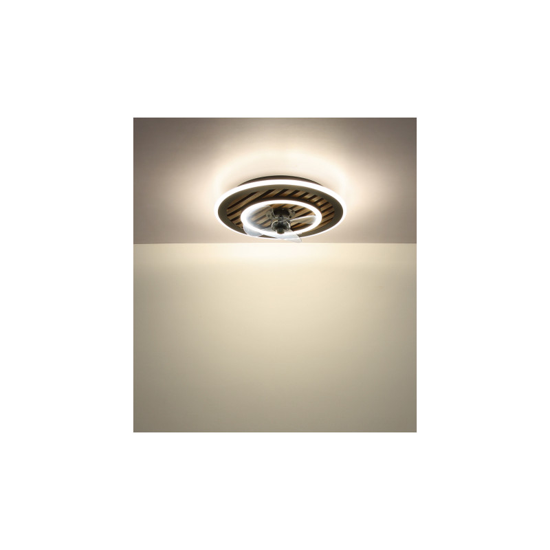 Globo 03668