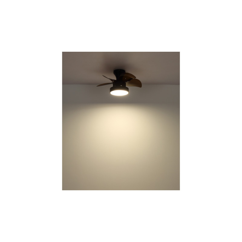 Globo 03670