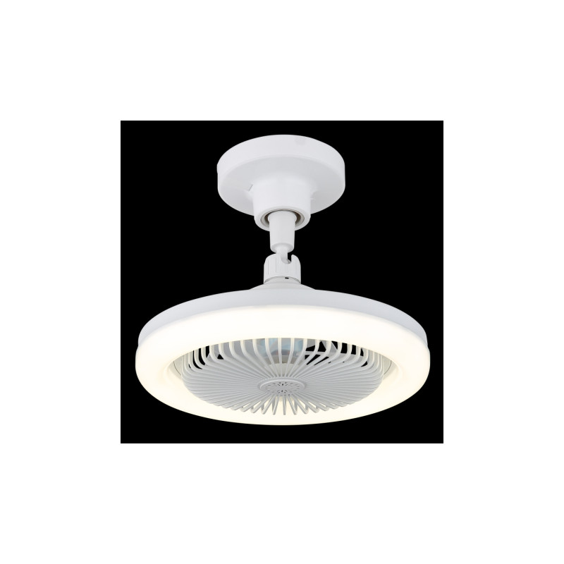 Globo 03680W