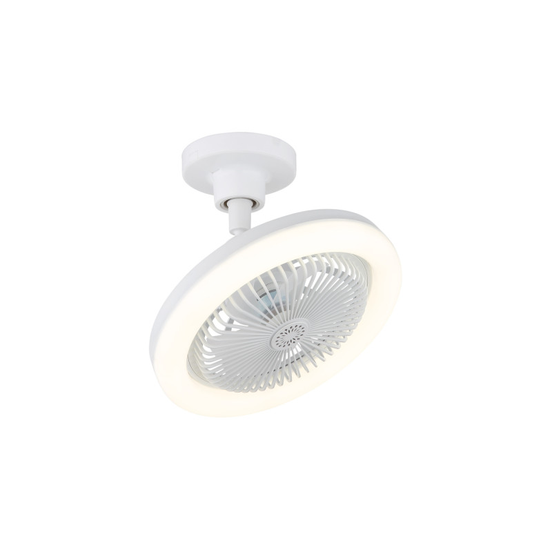 Globo 03680W