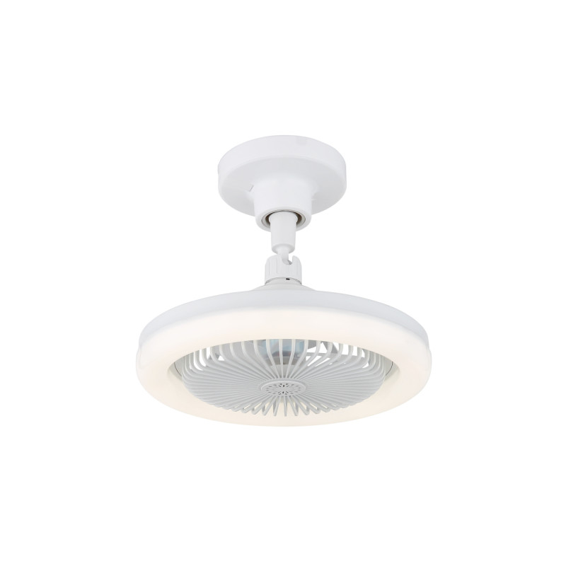 Globo 03680W