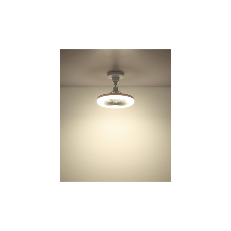 Globo 03680W