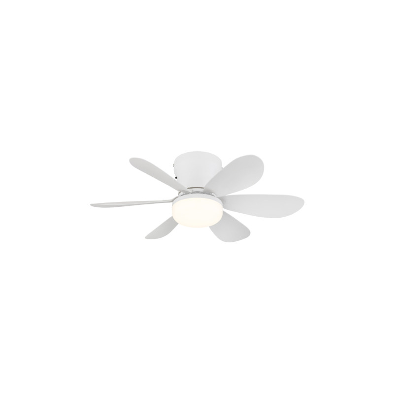 Globo 03625W