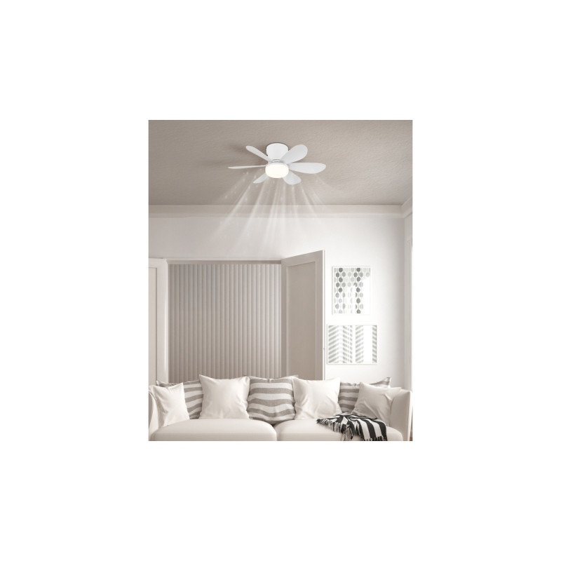Globo 03625W