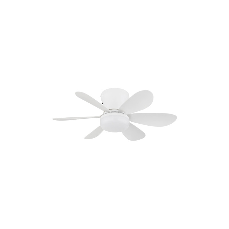 Globo 03625W
