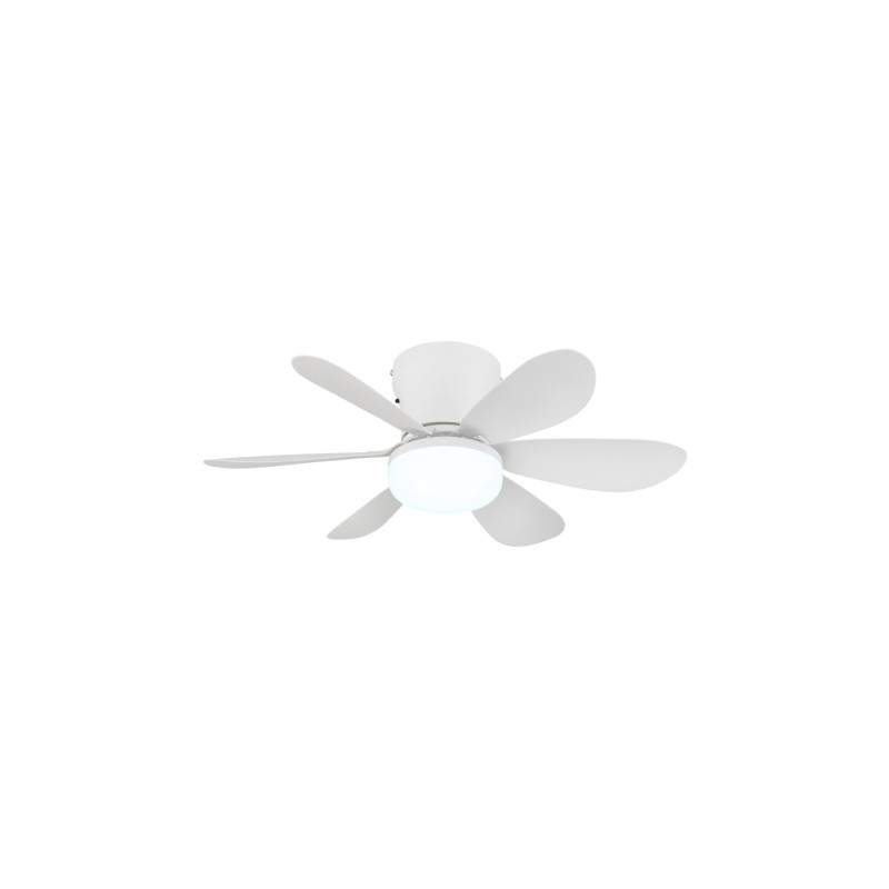 Globo 03625W