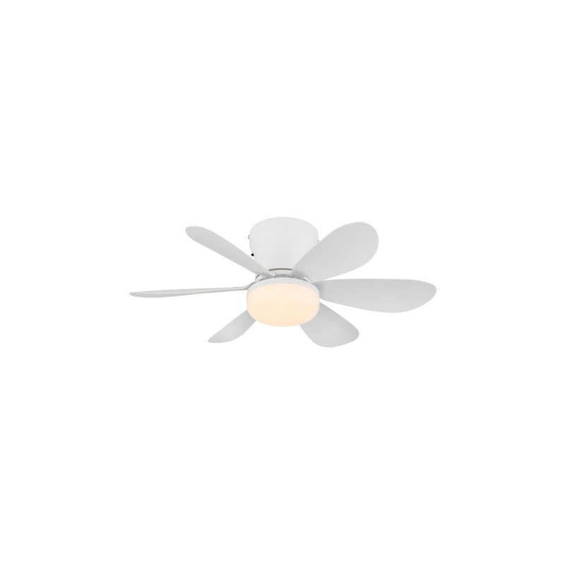 Globo 03625W