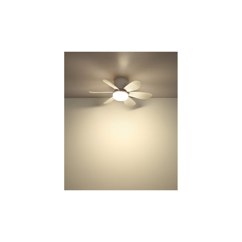 Globo 03625W