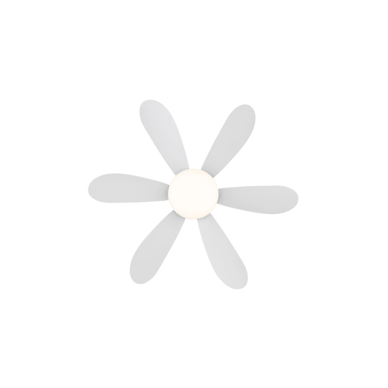 Globo 03625W