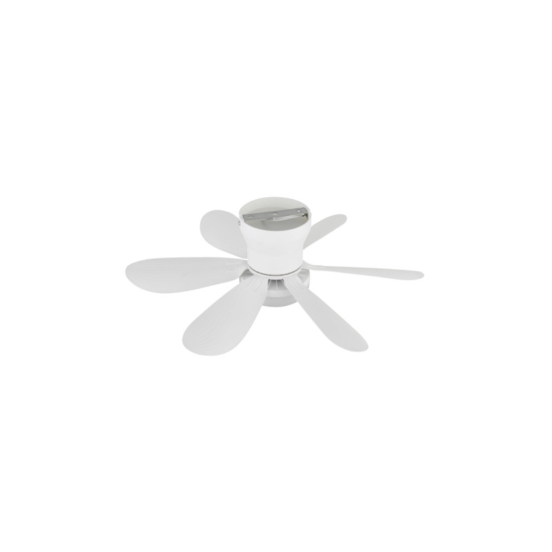 Globo 03625W