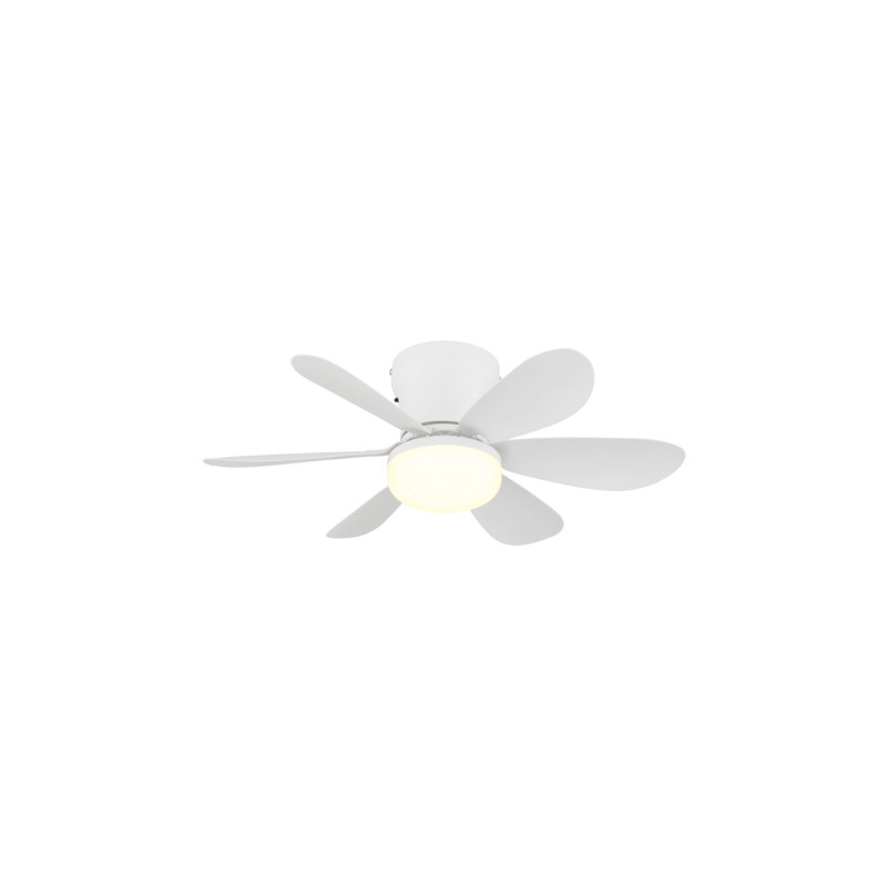 Globo 03625W