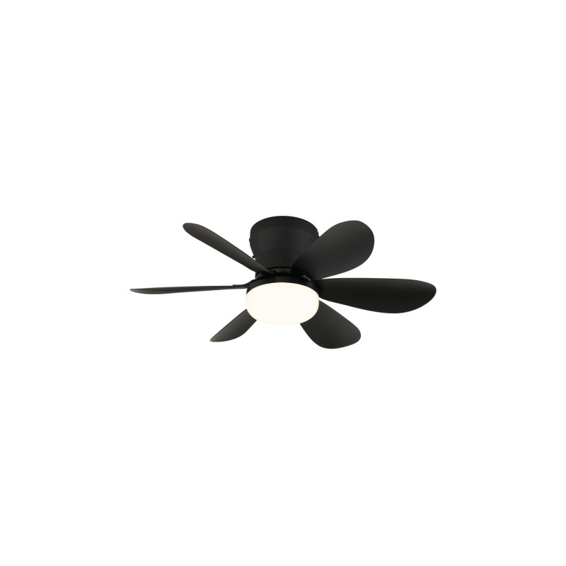 Globo 03625S