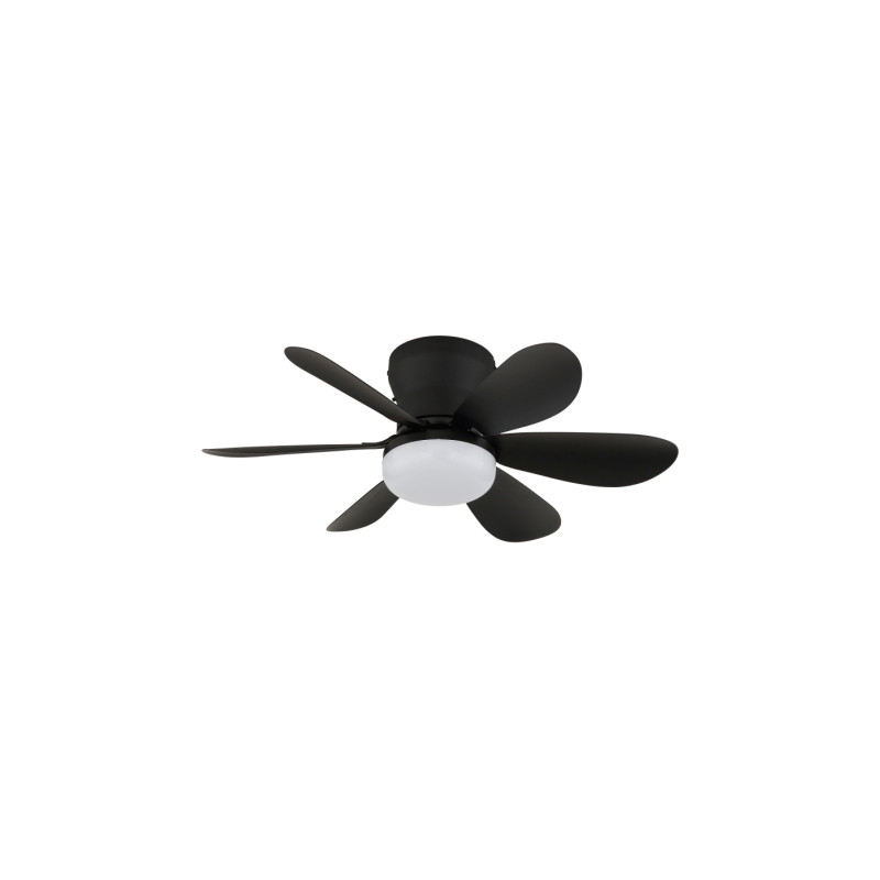 Globo 03625S