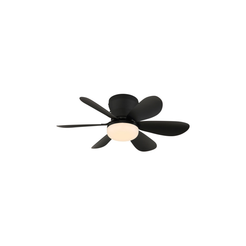 Globo 03625S