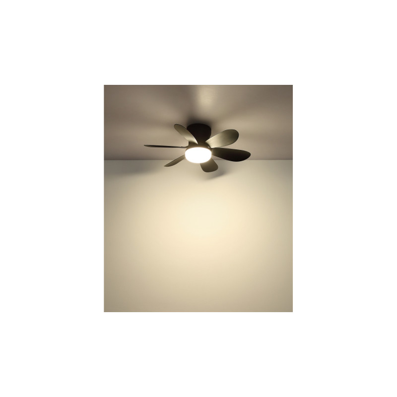 Globo 03625S