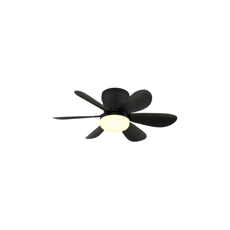 Globo 03625S