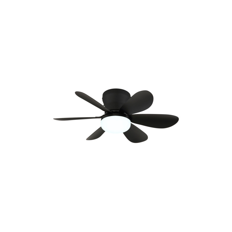 Globo 03625S