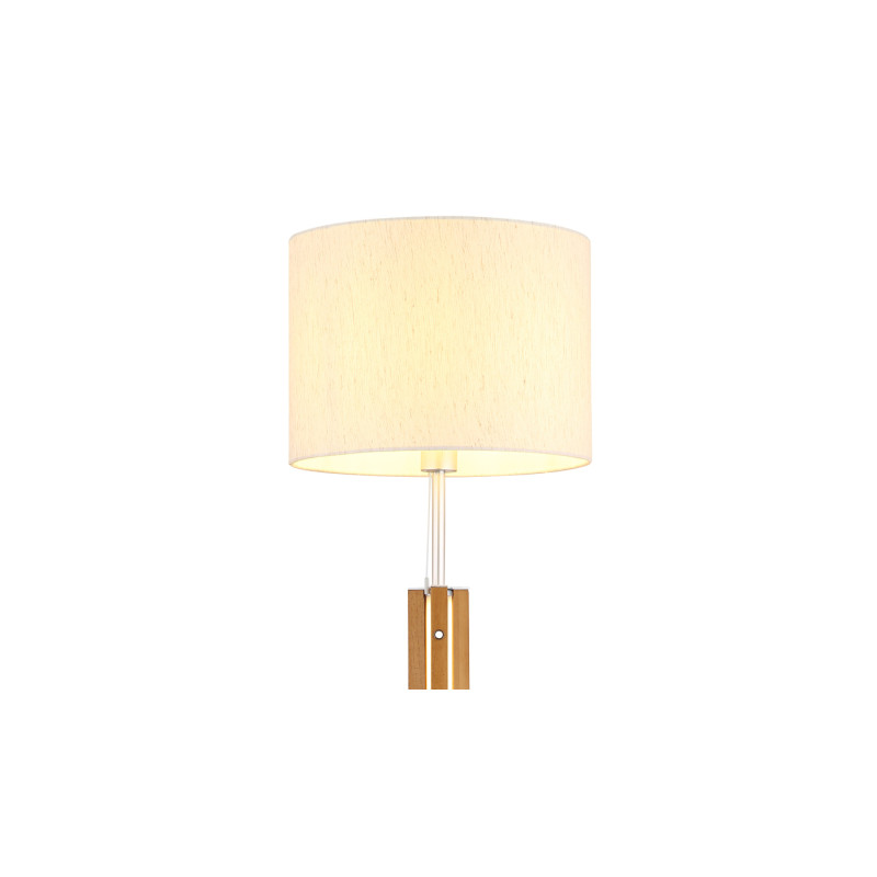 Globo 41730246