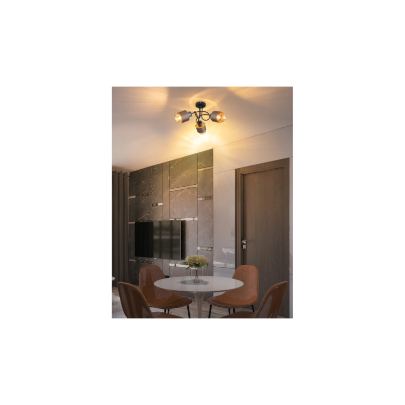 Globo 15560-3DC