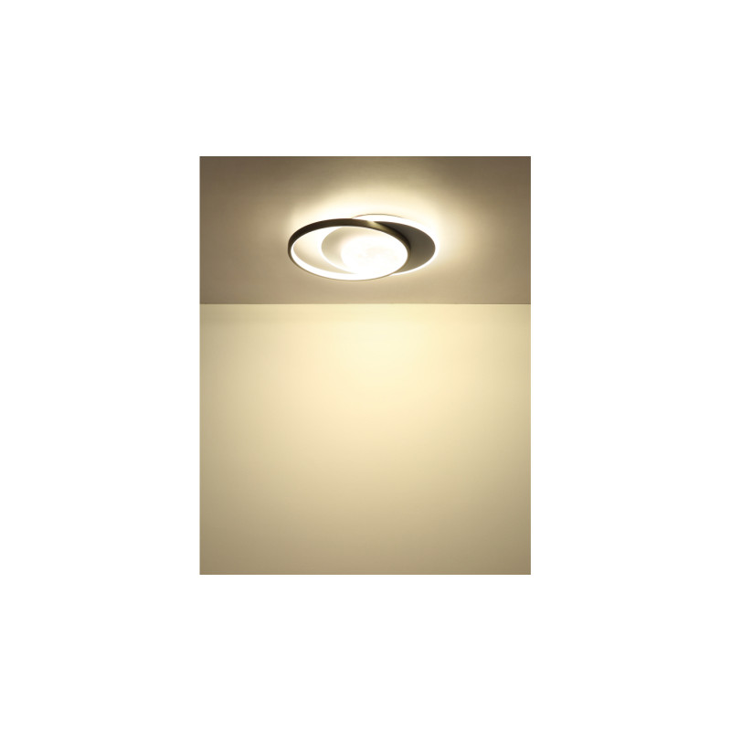 Globo 41785
