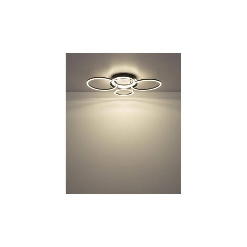 Globo 48477-40C
