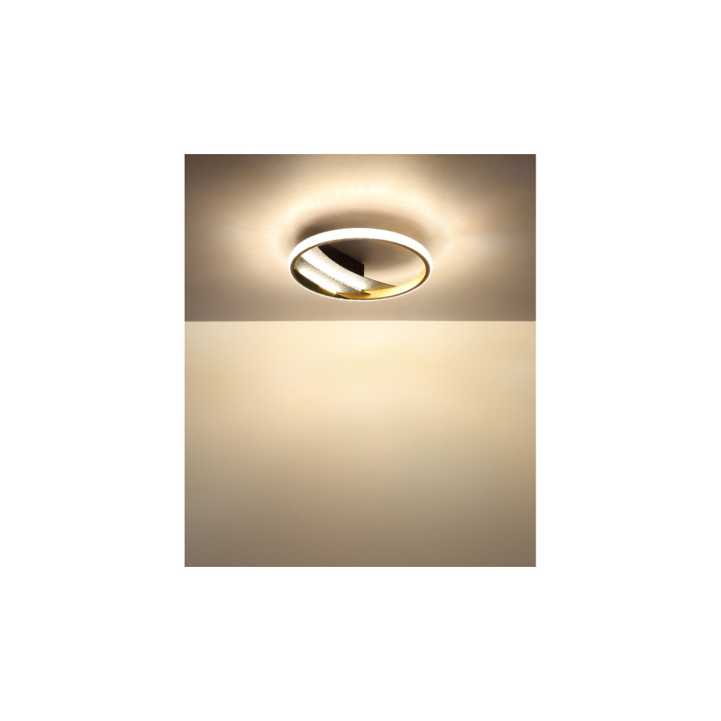 Globo 48493-12
