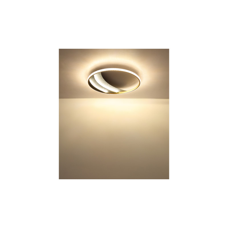 Globo 48493-40