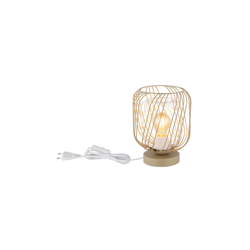 Globo 15965T