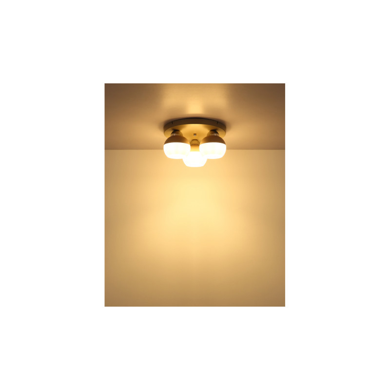 Globo 15999-3D