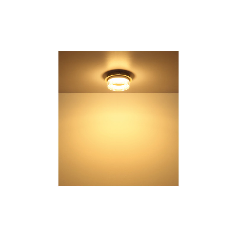 Globo 48046D