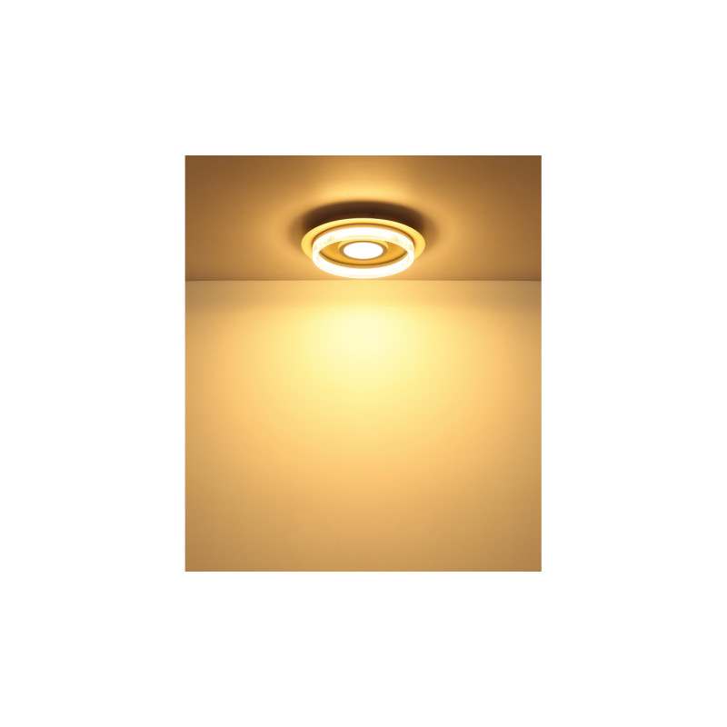 Globo 48046D1