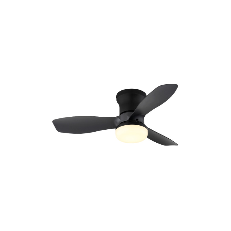 Globo 03669