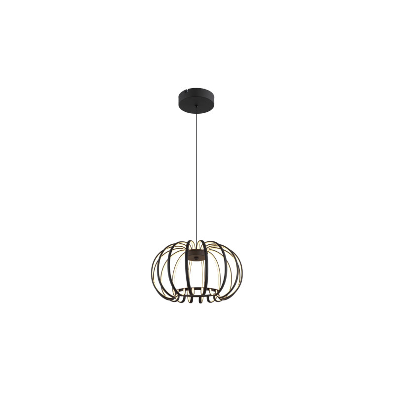 Globo 15946B