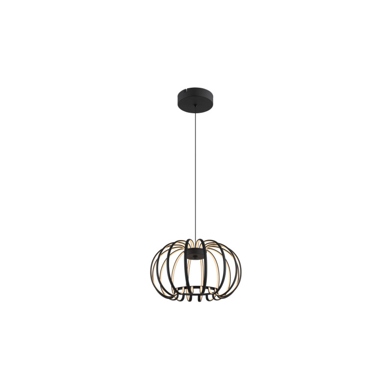 Globo 15946B