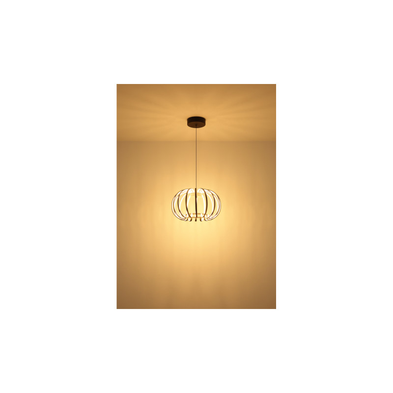 Globo 15946B