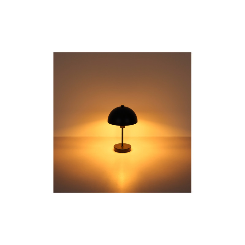 Globo 24009B