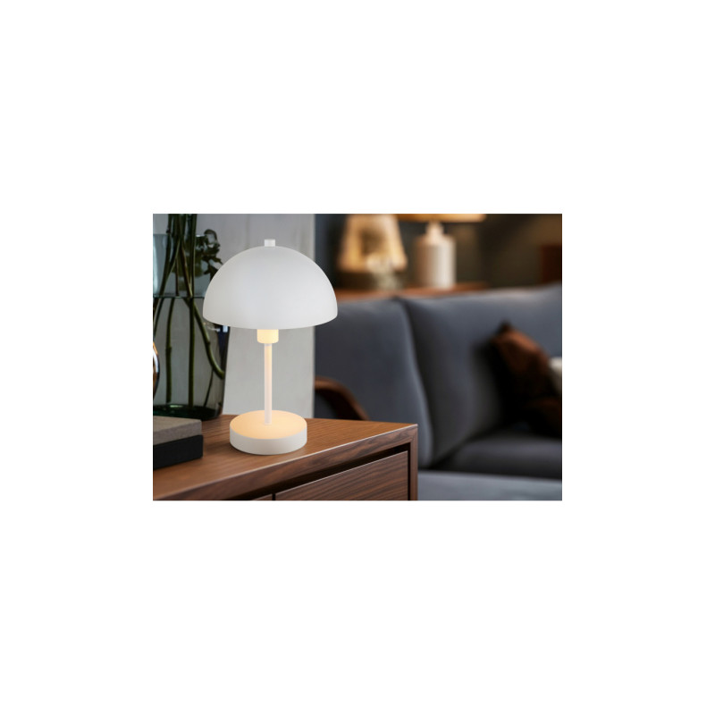 Globo 24009W