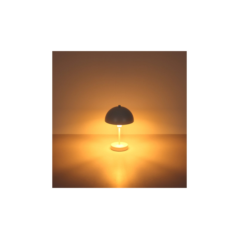 Globo 24009W