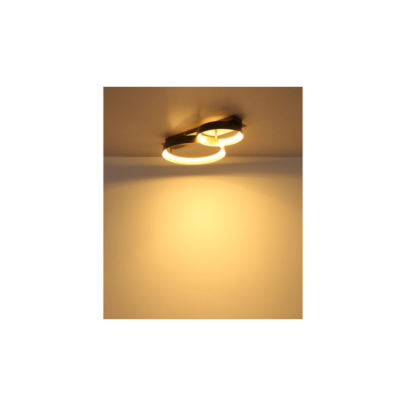 Globo 48048D1