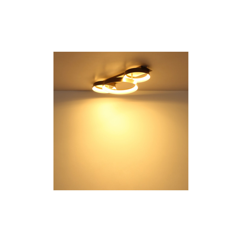 Globo 48048D2