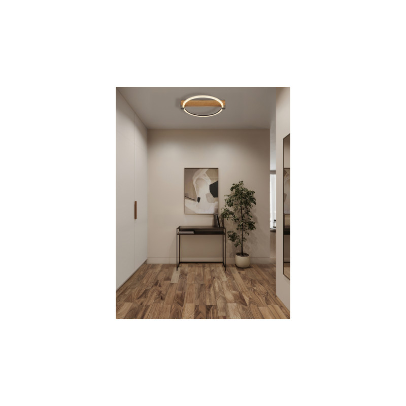 Globo 48050D