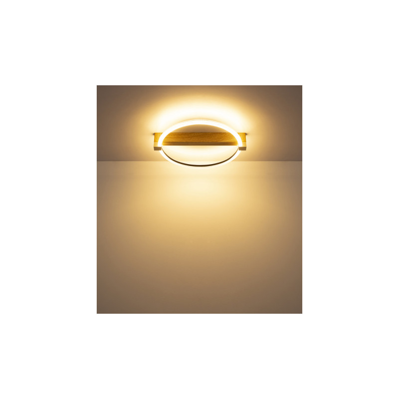 Globo 48050D