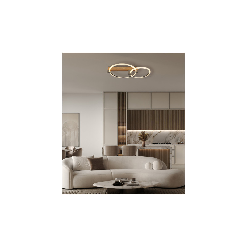 Globo 48050D1