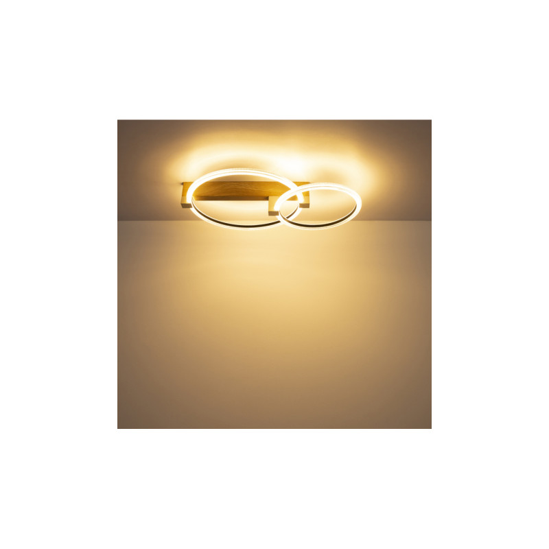 Globo 48050D1