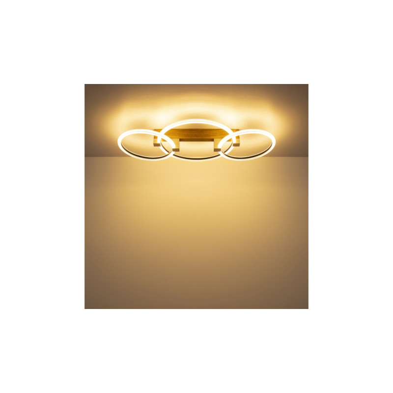 Globo 48050D2