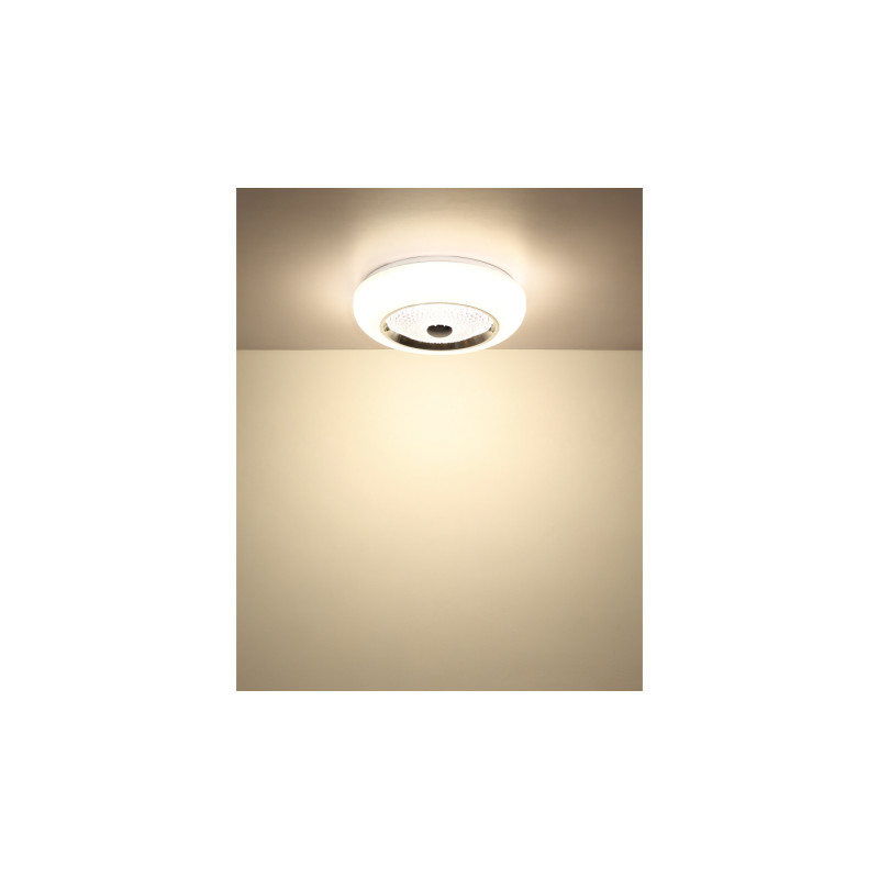 Globo 48071-18