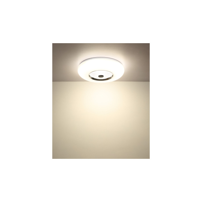 Globo 48071-50