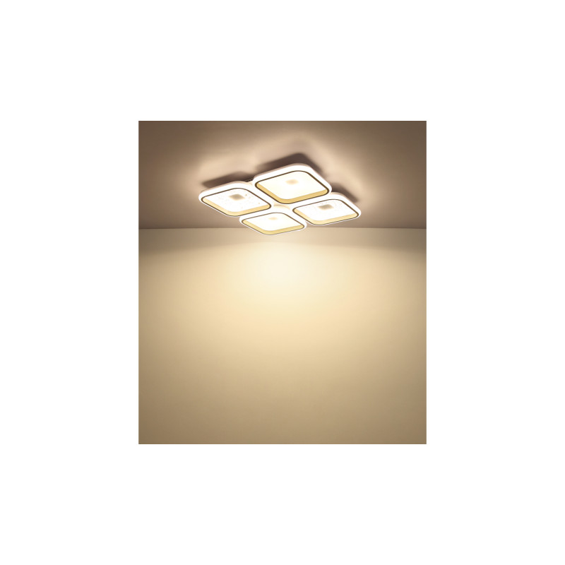 Globo 48097-60