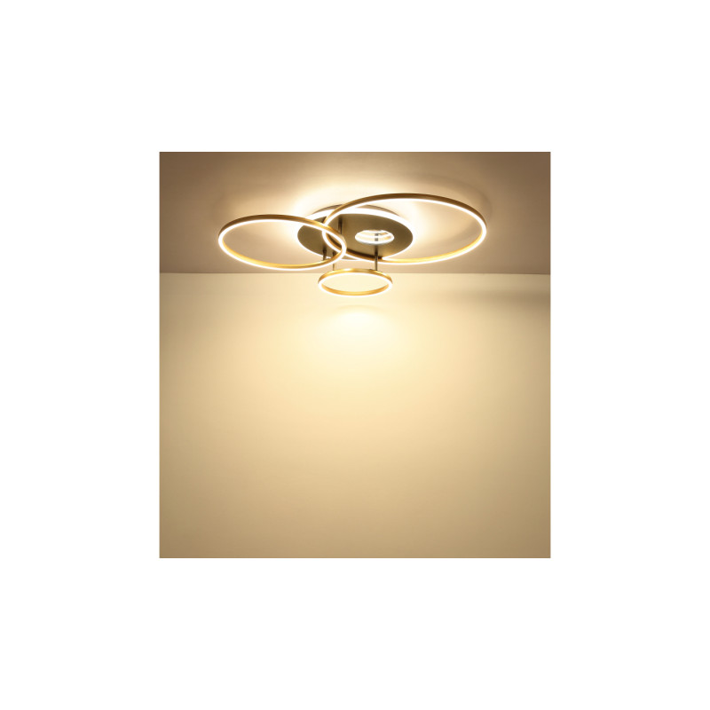 Globo 48466-54