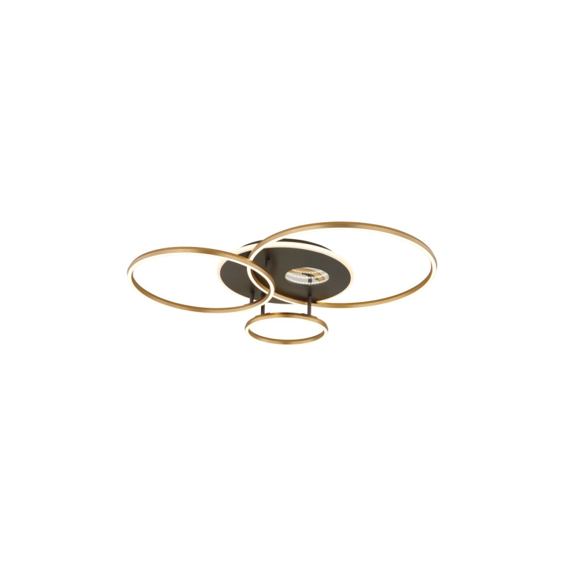 Globo 48466-54